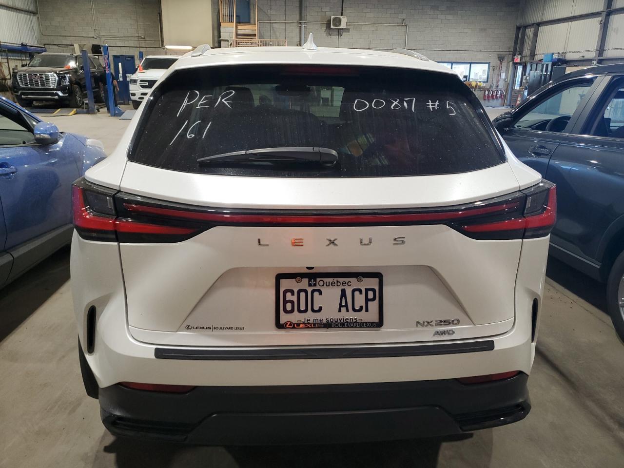 2023 LEXUS Nx