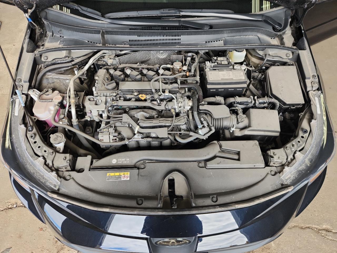 2024 TOYOTA COROLLA