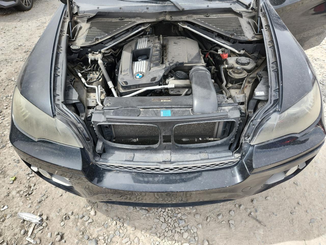 2009 BMW X6