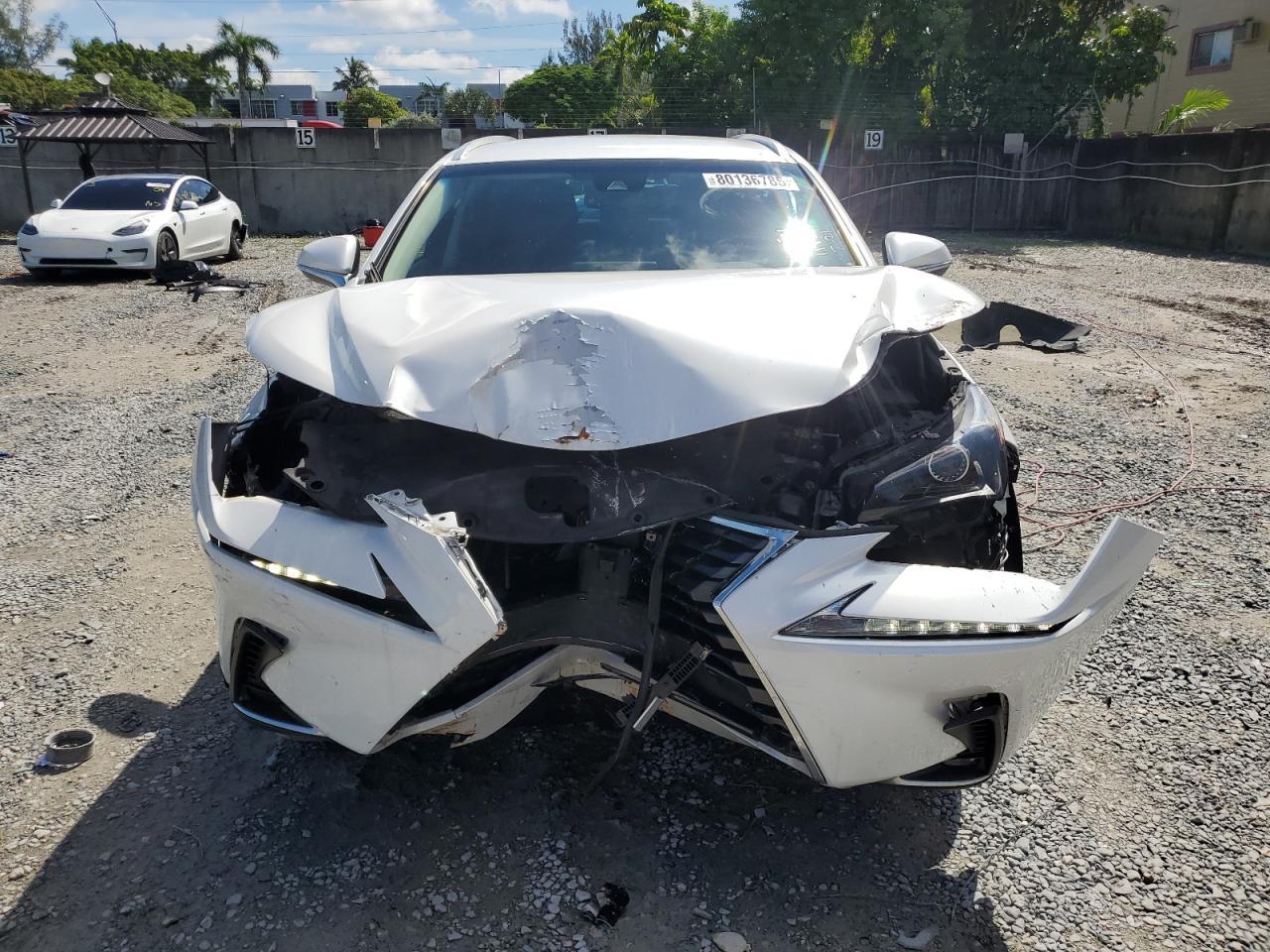 2019 LEXUS Nx