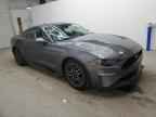 2023 FORD MUSTANG