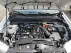2024 FORD Maverick