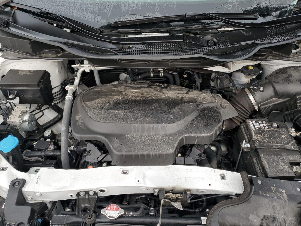 2025 HONDA ODYSSEY