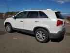 2011 KIA SORENTO