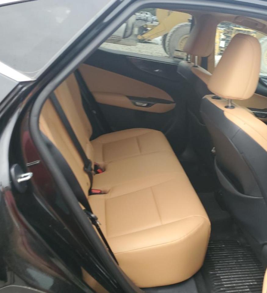 2025 LEXUS NX 350