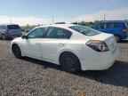 2009 NISSAN ALTIMA