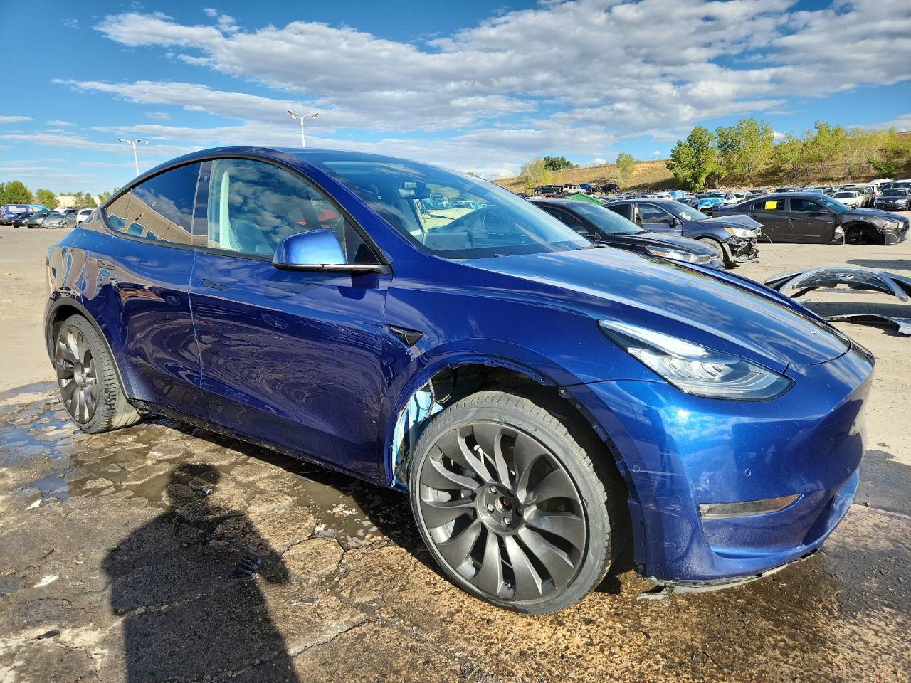 2021 TESLA MODEL Y