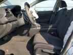 2022 HONDA Insight