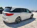 2023 HONDA ODYSSEY