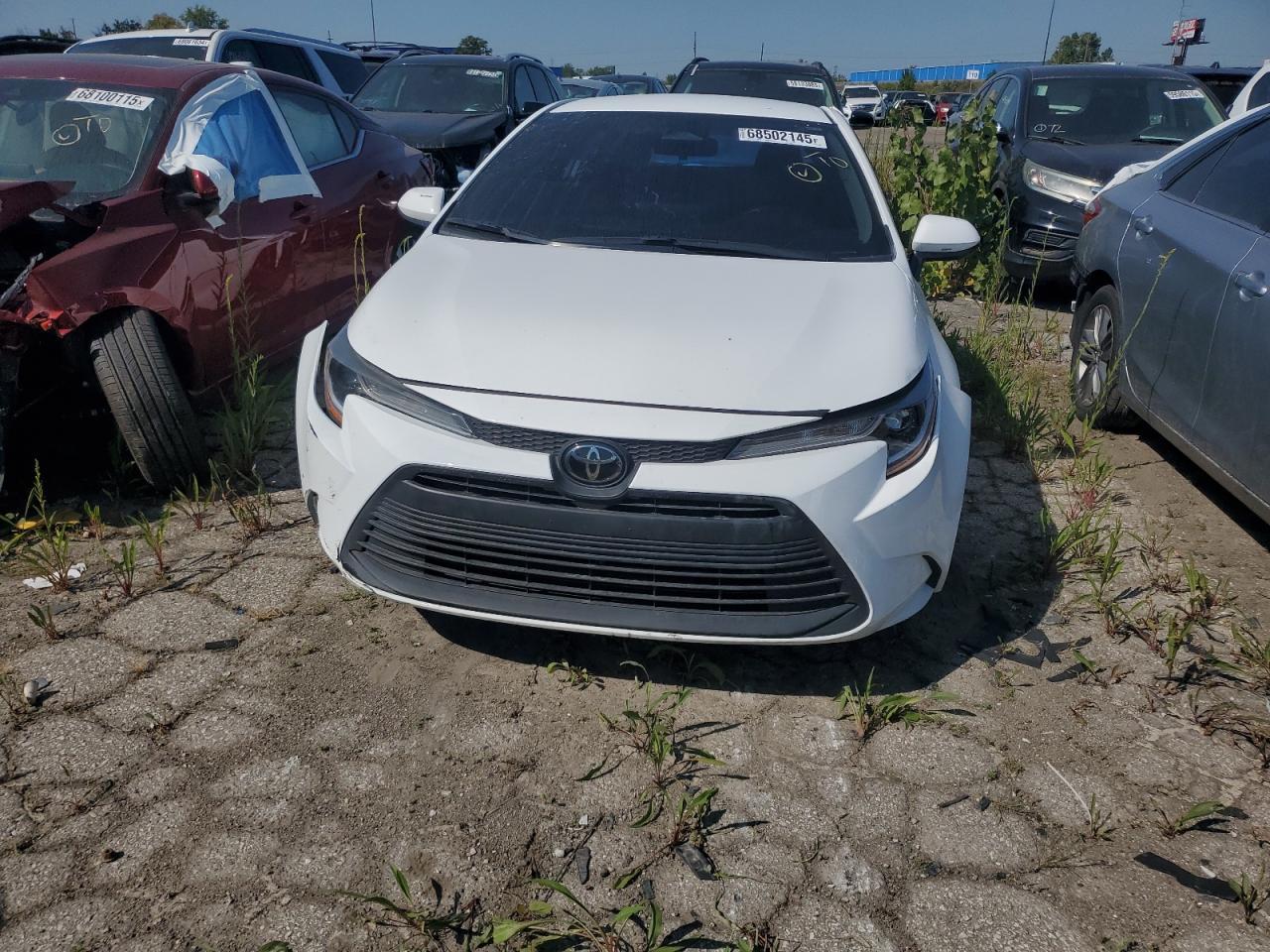 2024 TOYOTA COROLLA