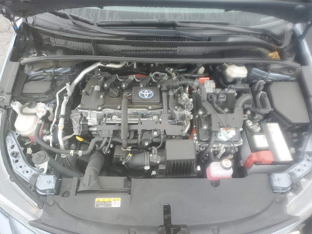 2023 TOYOTA COROLLA