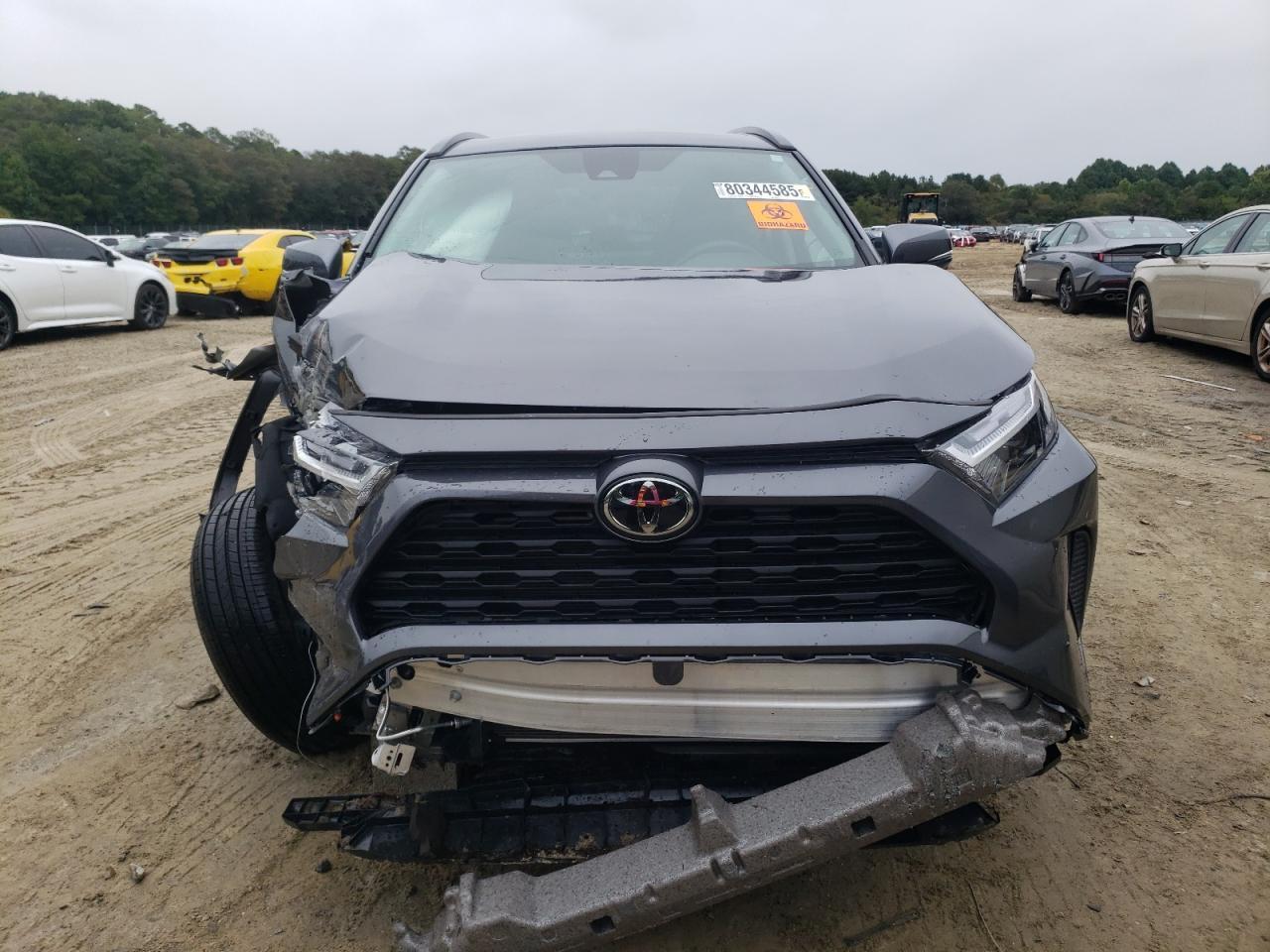 2024 TOYOTA RAV4