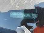 2023 LINCOLN Aviator