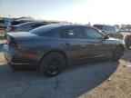 2014 DODGE CHARGER