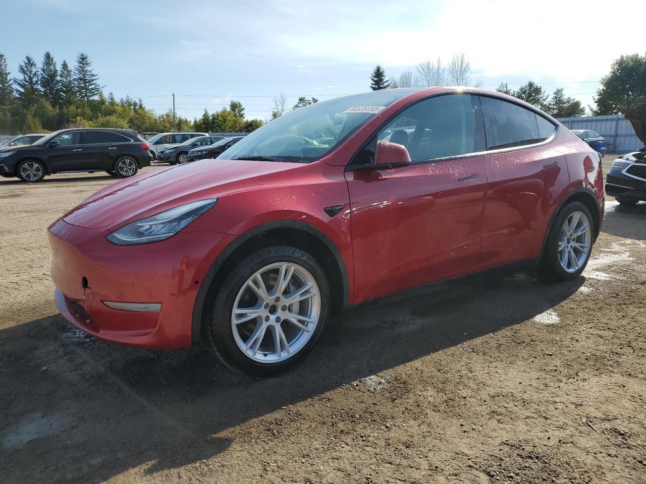 2022 TESLA MODEL Y