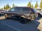 2025 LINCOLN Aviator