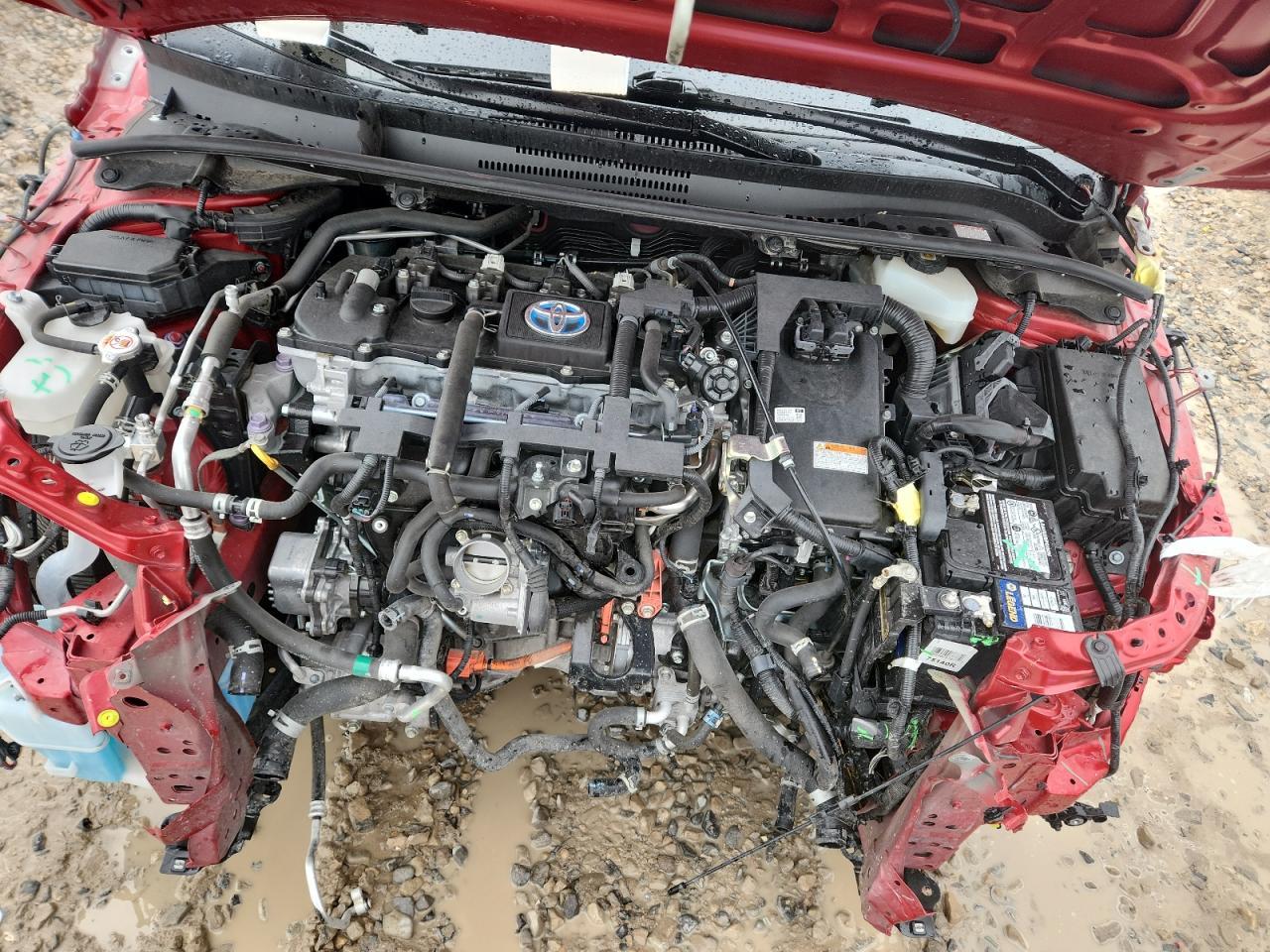 2021 TOYOTA COROLLA