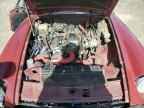 1979 Mg B