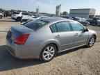 2008 NISSAN Maxima