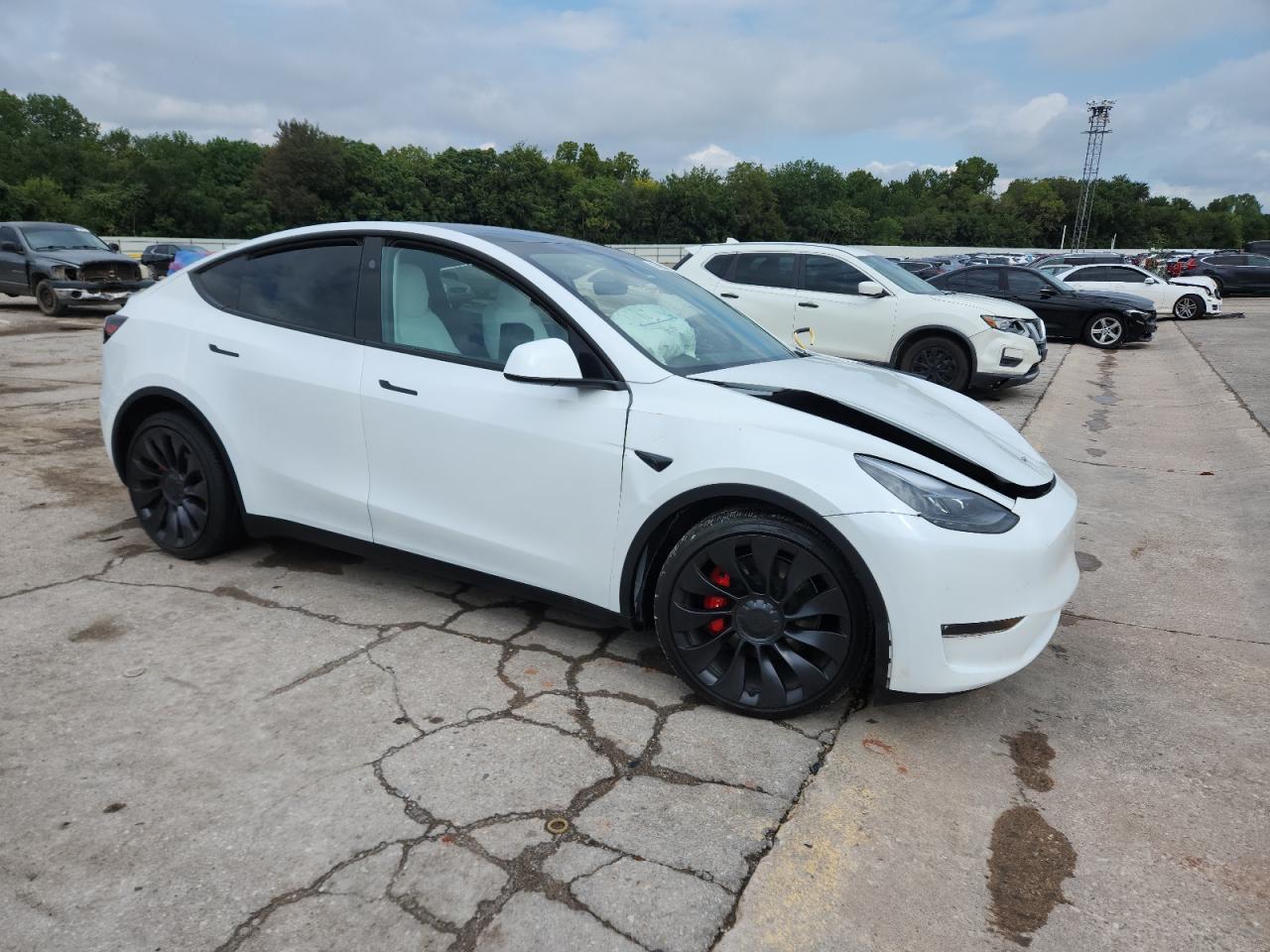 2024 TESLA MODEL Y