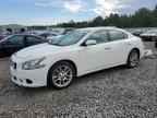2010 NISSAN Maxima