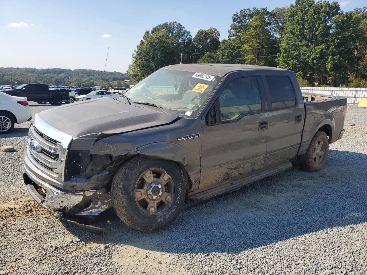 2013 FORD F-150