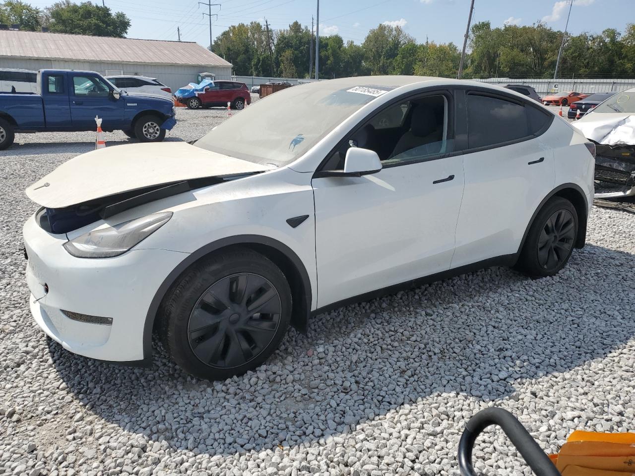 2025 TESLA MODEL Y