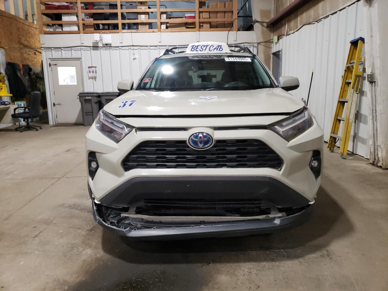 2023 TOYOTA RAV4