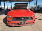 2023 FORD MUSTANG