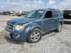 2010 FORD ESCAPE