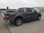2007 FORD F-150