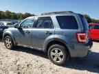 2010 FORD ESCAPE