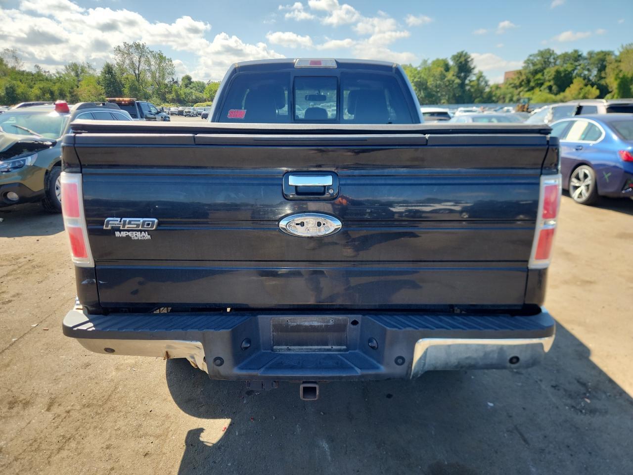 2013 FORD F-150