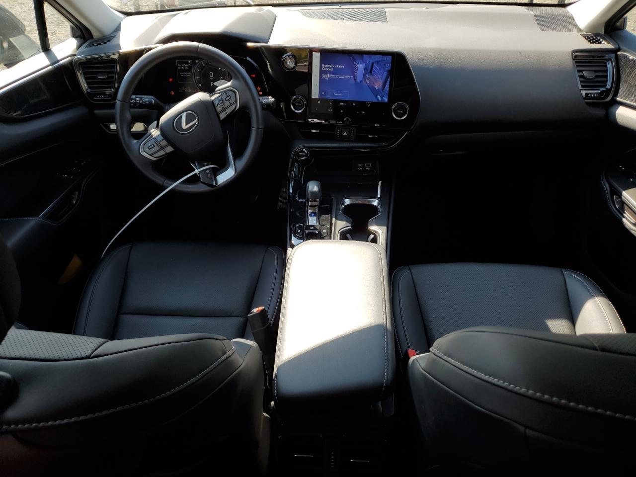 2024 LEXUS Nx