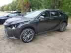 2024 LEXUS RX 350