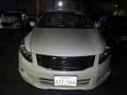 2010 HONDA ACCORD