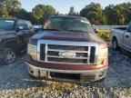 2009 FORD F-150