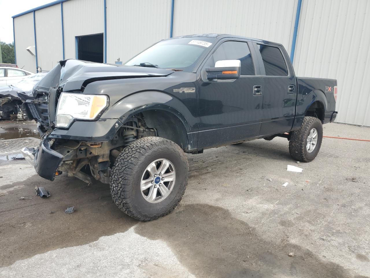 2010 FORD F-150
