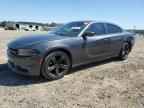 2017 DODGE CHARGER