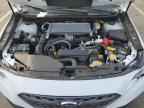 2023 SUBARU WRX