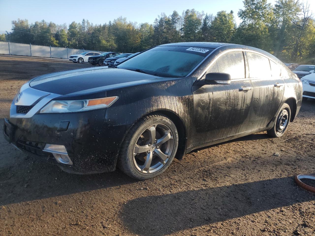 2010 ACURA TL