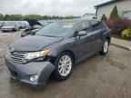 2012 TOYOTA VENZA