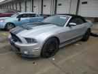 2013 FORD MUSTANG
