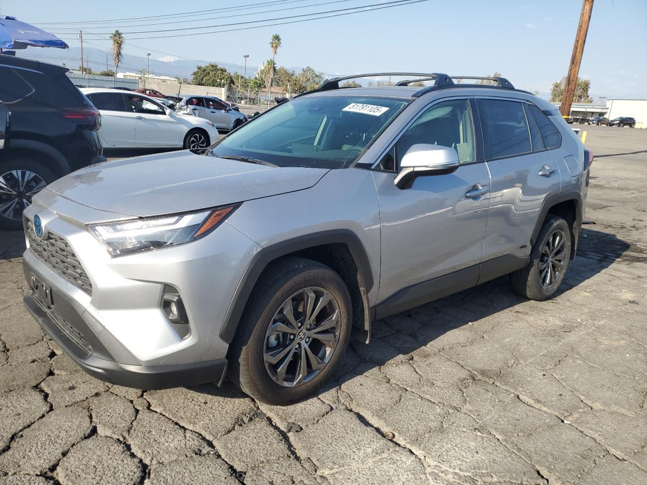 2024 TOYOTA RAV4