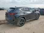 2025 LEXUS Nx