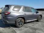 2024 HONDA PILOT
