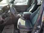 2025 TOYOTA 4Runner