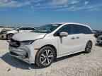 2023 HONDA ODYSSEY
