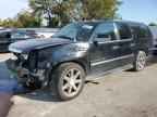 2010 CADILLAC ESCALADE