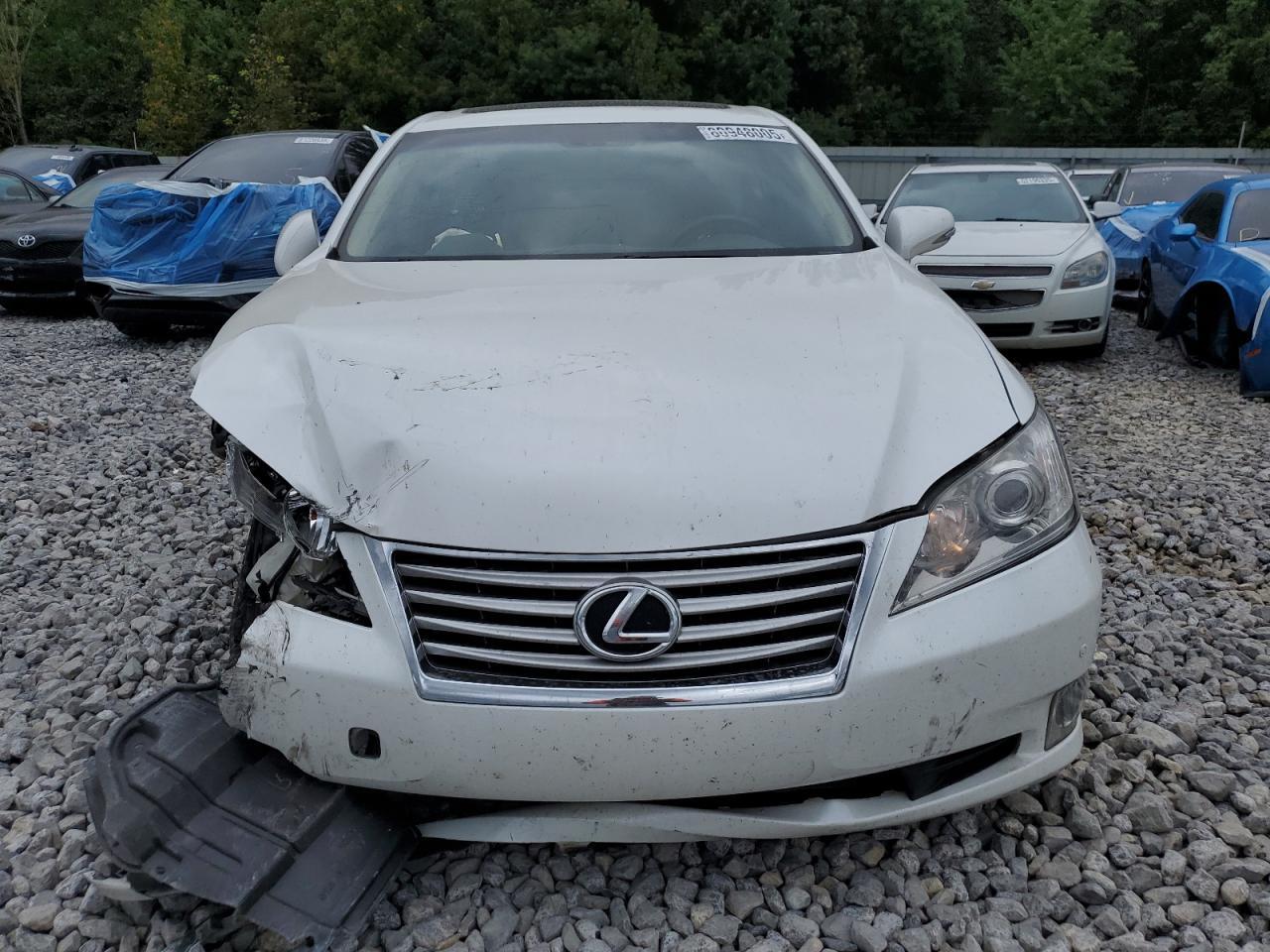 2010 LEXUS ES 350